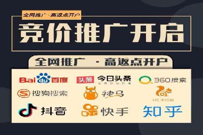 竞价推广策略：某电商平台的成功之路